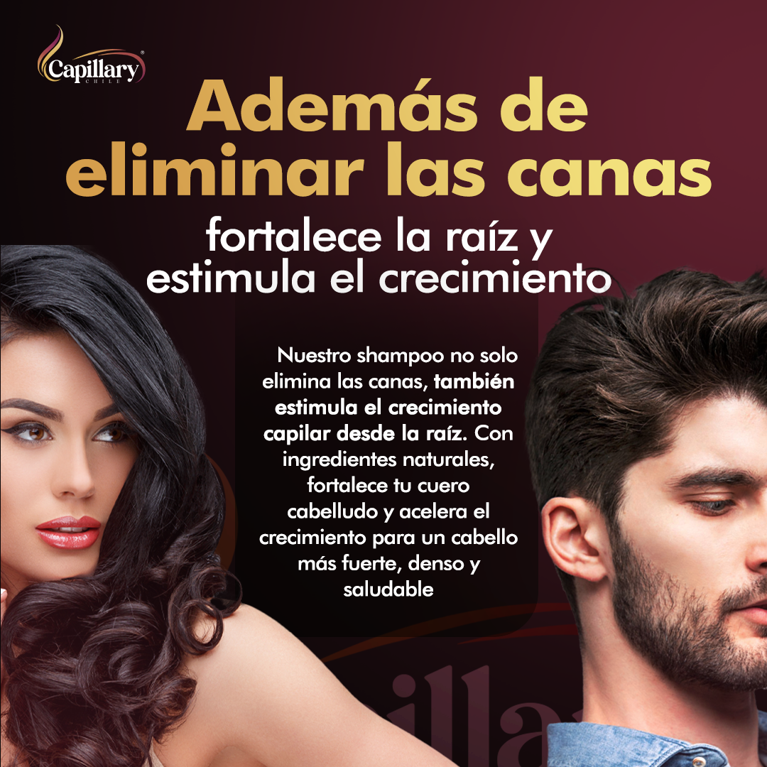 ¡1 + 1 GRATIS! Capillary® Shampoo en Barra Anti-Canas – ¡Recupera el Color Natural de tu Cabello DEFINITIVAMENTE!