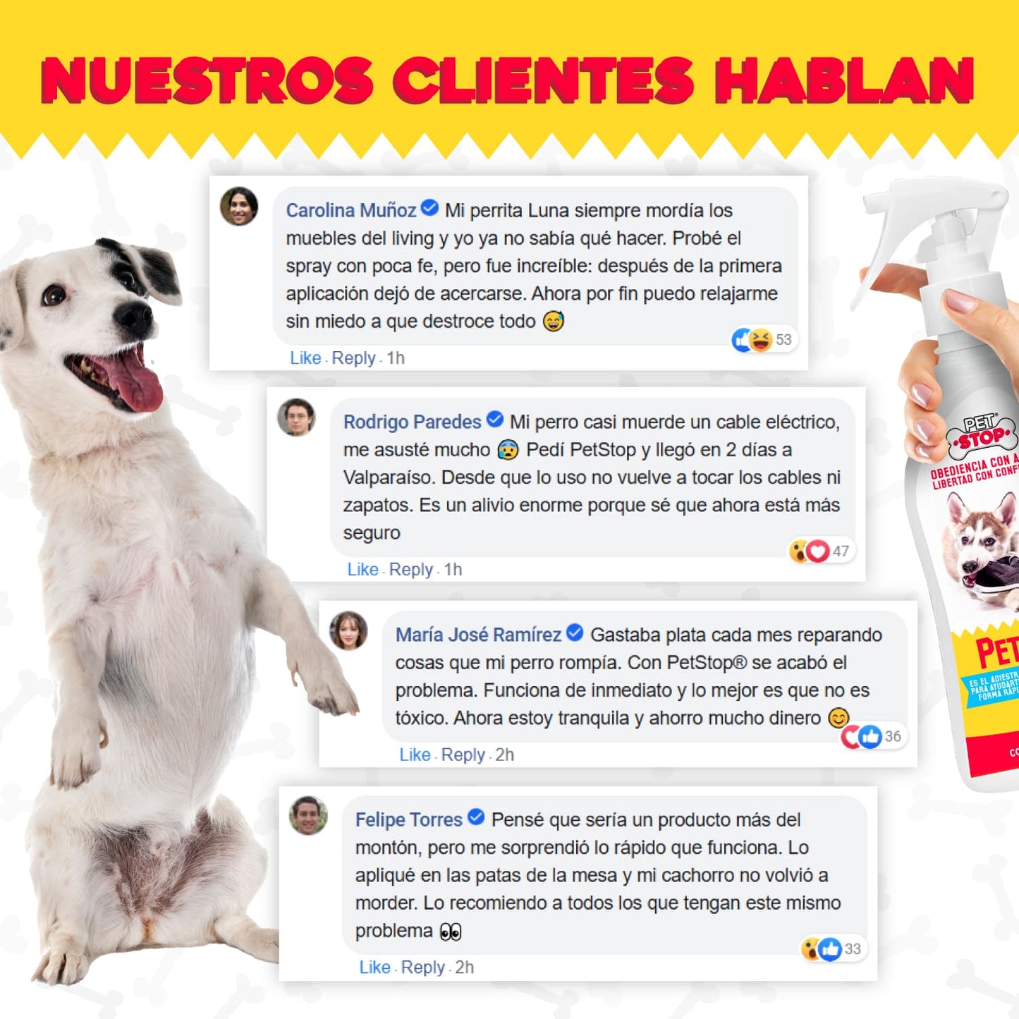 PetStop® – Spray Educador y Protector Canino | 1+1 GRATIS