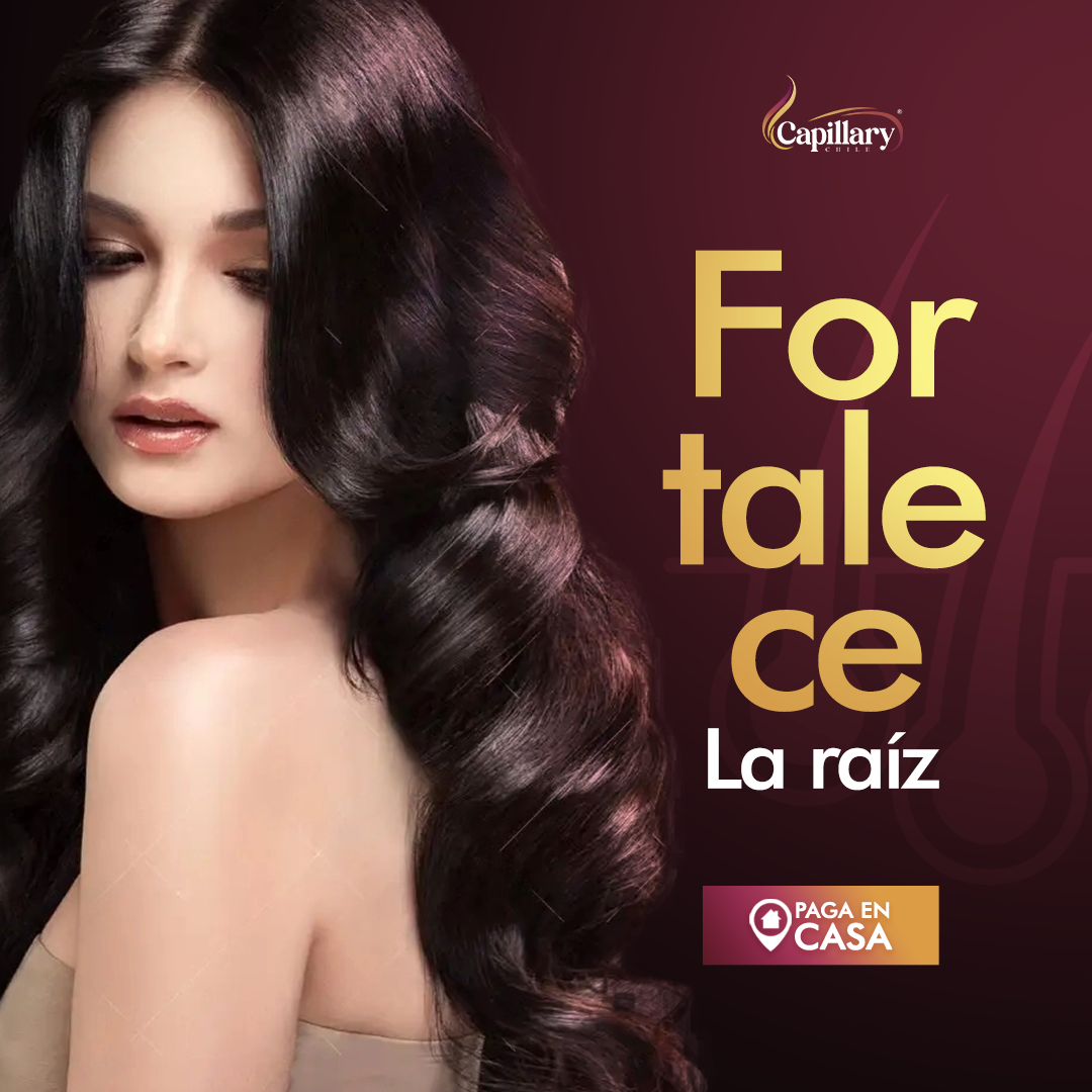 ¡1 + 1 GRATIS! Capillary® Shampoo en Barra Anti-Canas – ¡Recupera el Color Natural de tu Cabello DEFINITIVAMENTE!
