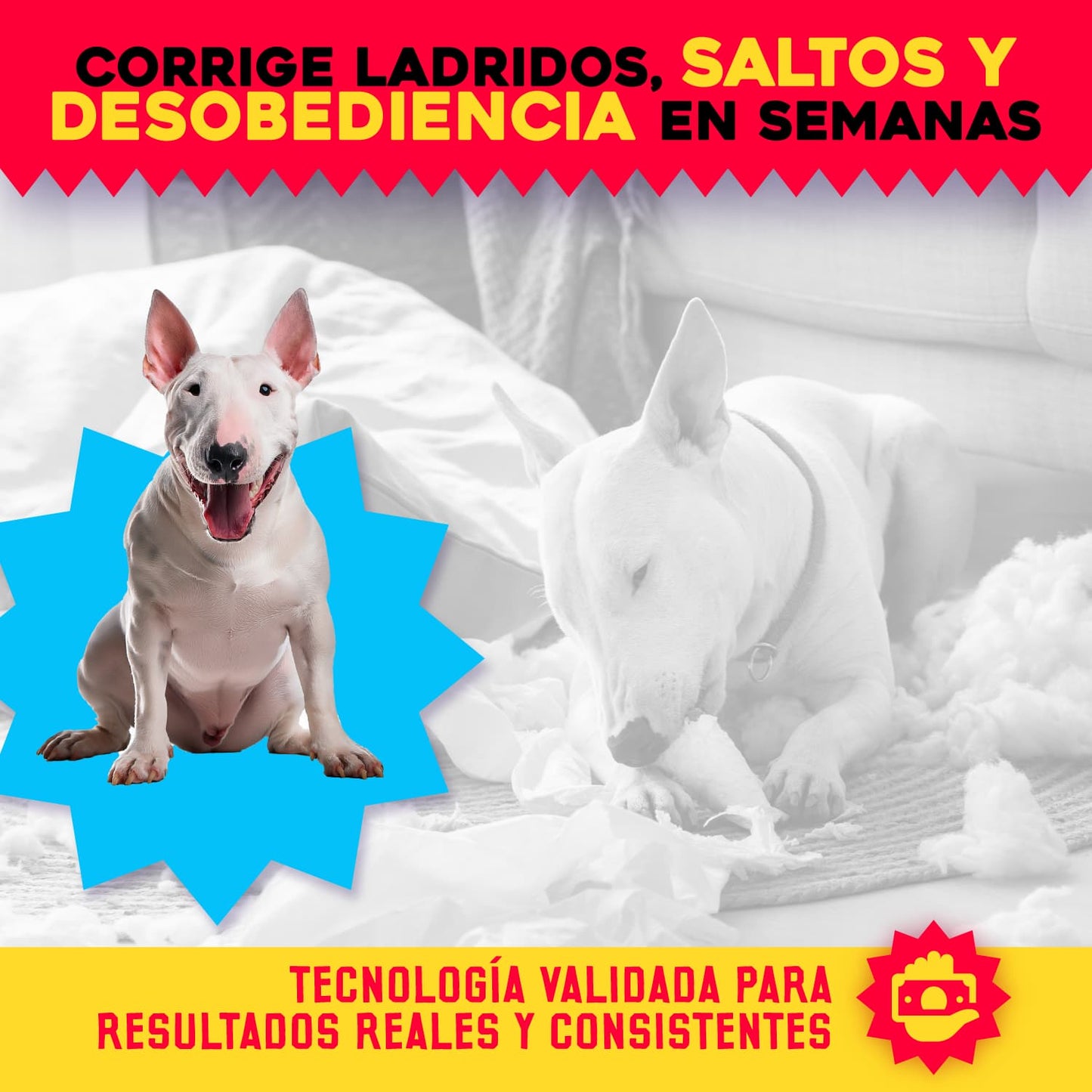 PetStop® – Spray Educador y Protector Canino | 1+1 GRATIS