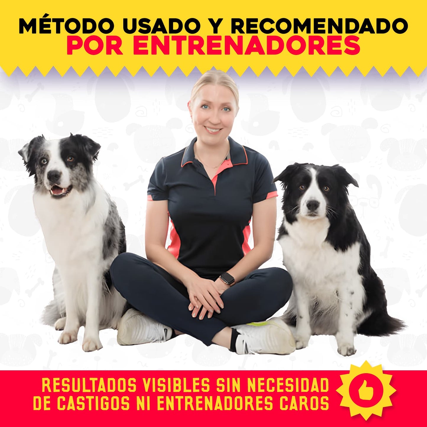 PetStop® – Spray Educador y Protector Canino | 1+1 GRATIS